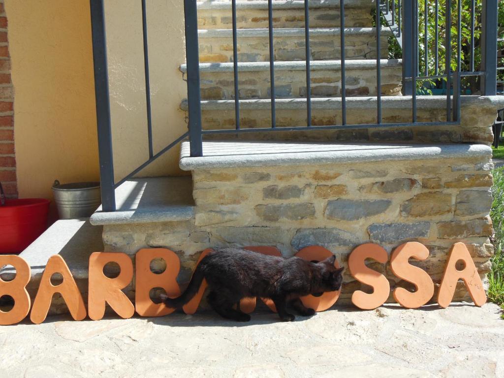 Agriturismo Affittacamere Barbarossa Dogliani Ngoại thất bức ảnh