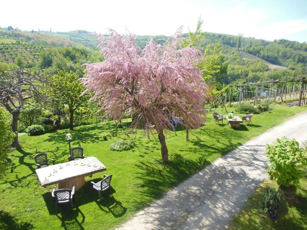 Agriturismo Affittacamere Barbarossa Dogliani Ngoại thất bức ảnh