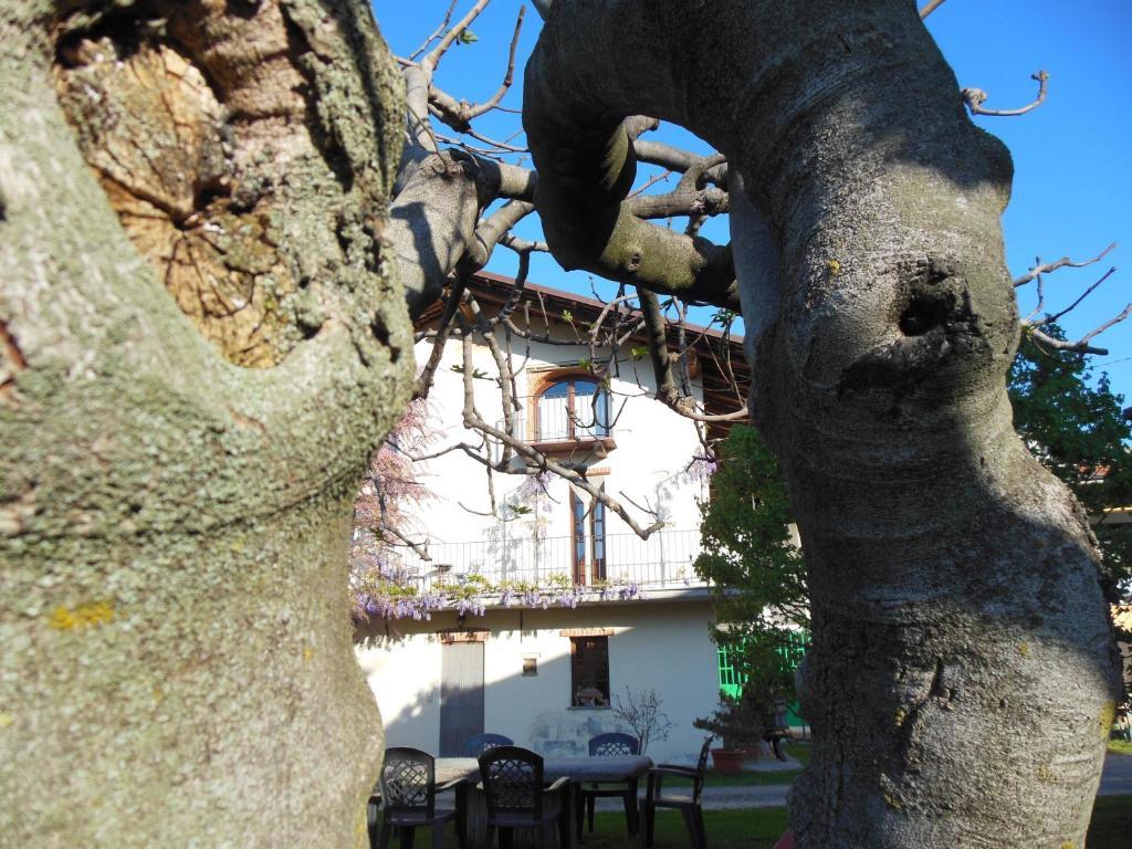 Agriturismo Affittacamere Barbarossa Dogliani Ngoại thất bức ảnh