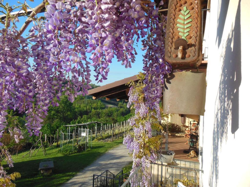 Agriturismo Affittacamere Barbarossa Dogliani Ngoại thất bức ảnh